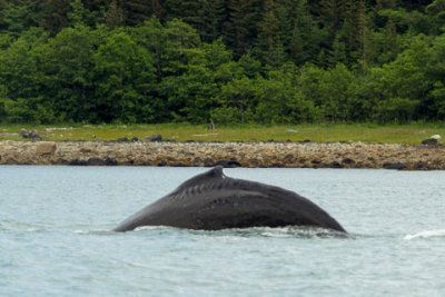 Alaska-1740.jpg