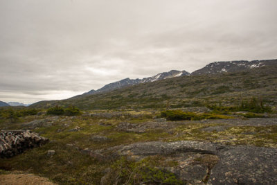 Alaska-1889.jpg