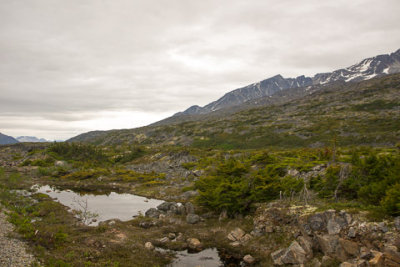 Alaska-1891.jpg
