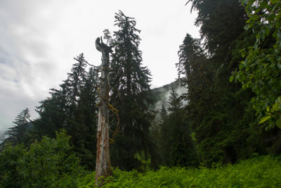 Alaska-2051.jpg