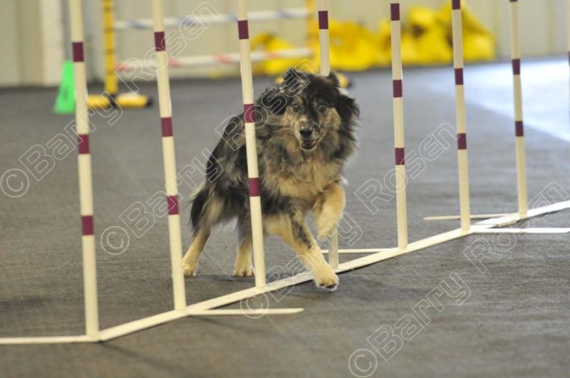 PAW_1048.jpg