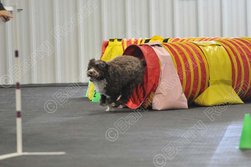 PAW_2028.jpg