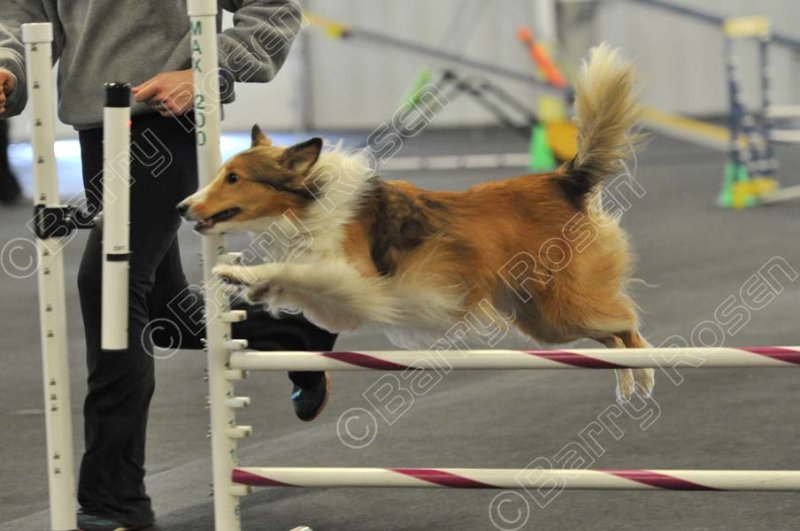 PAW_2044.jpg