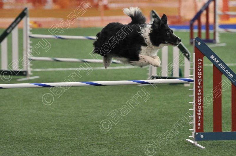 LTT_4219.jpg