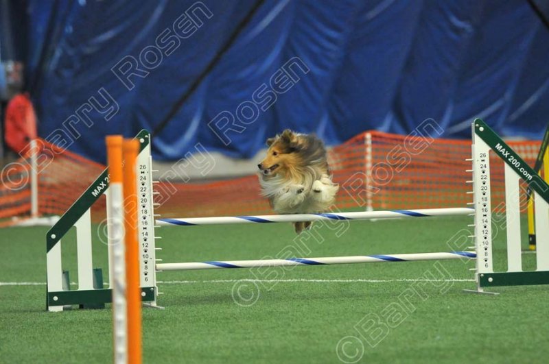LTT_5213.jpg