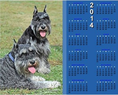 Carlin Calendar
