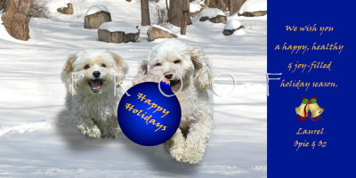 Olexa holiday card