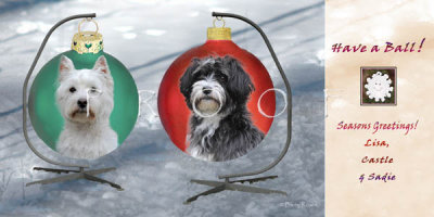 Tibbals holiday card