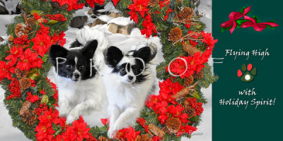 Weaver holiday card