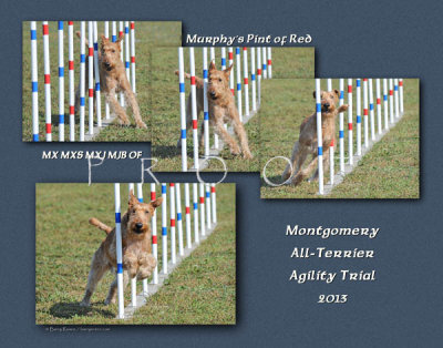 Rundle 11x Murphy weave montage 2.jpg