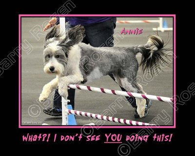 Wolbach Annie Jumping poster.jpg