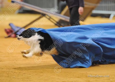 109_JGD_0790.jpg