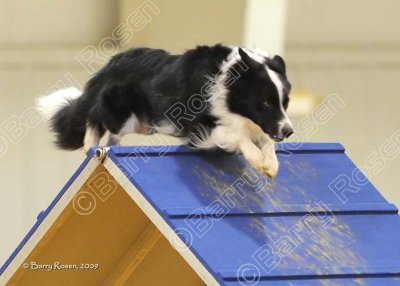 10_JGD_0293.jpg