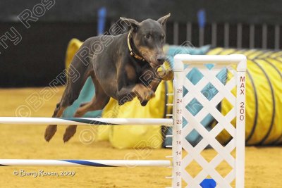 130_JGD_2564.jpg