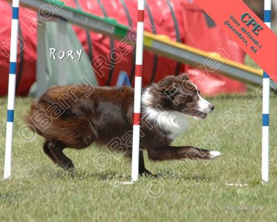 2 CPE_3201 w Rory.jpg