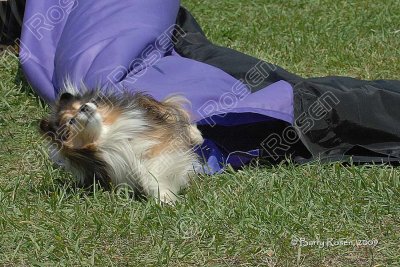 253_YA5_3276.jpg