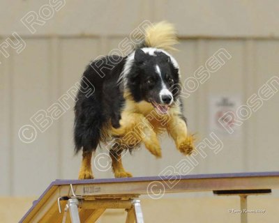 51_JGD_3063.jpg