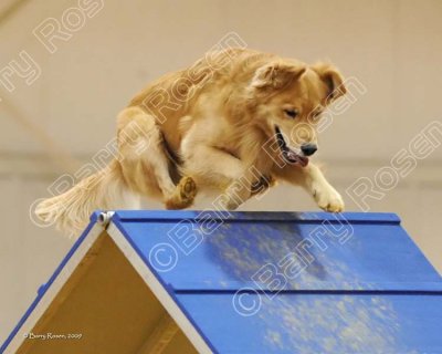 63_JGD_0855.jpg
