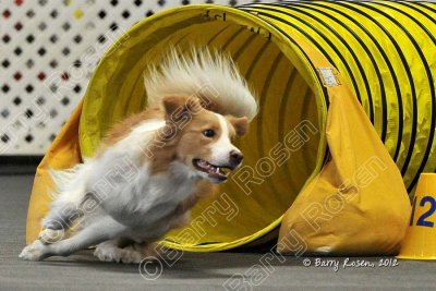 PAW_6173.jpg