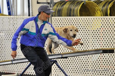 PAW_6340.jpg