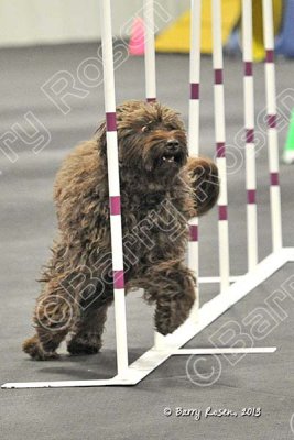 PAW_7643.jpg