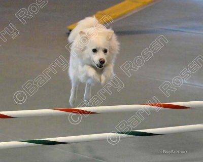 AD3_3406 300 dpi.jpg