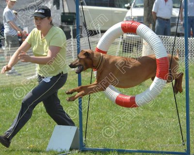 BC4_0633.jpg