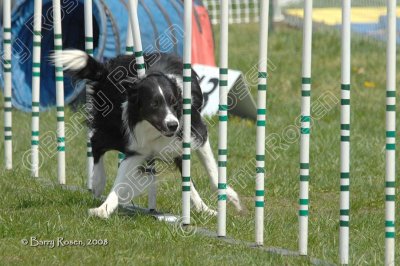 BC4_0895.jpg