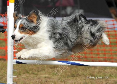 CAT_0717.jpg
