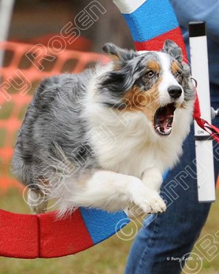CAT_2090.jpg