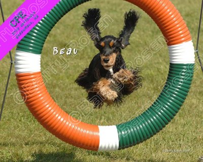 CPE_4116 w Beau.jpg