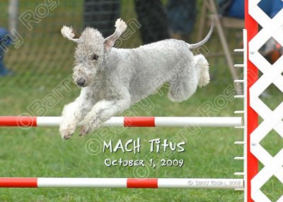 Matte Wellington 5x7 plaque TER_1276.jpg