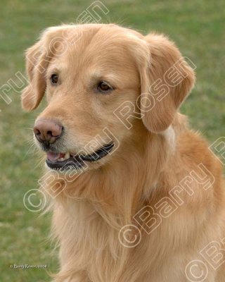 PB4_6994 300 dpi.jpg