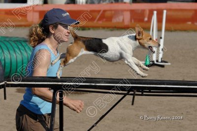 PL6_3264 (2).jpg