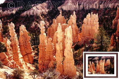 Bryce Canyon PIC_0265