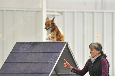 PAW_0501.jpg