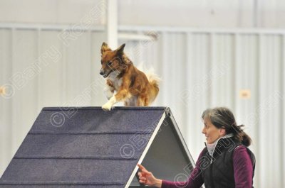 PAW_0502.jpg