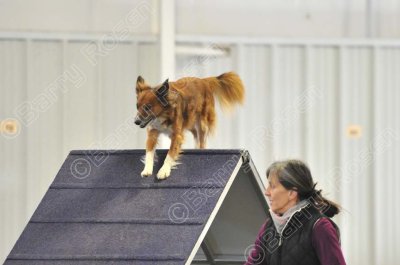 PAW_0503.jpg