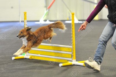 PAW_0504.jpg