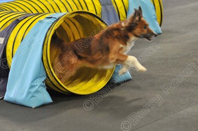 PAW_0505.jpg