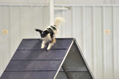 PAW_0507.jpg