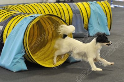 PAW_0510.jpg