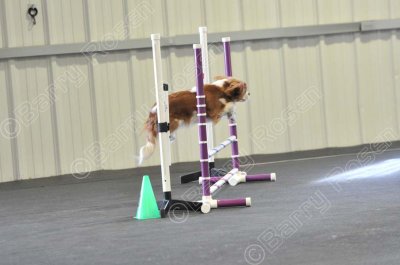 PAW_0511.jpg