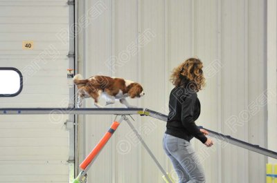 PAW_0512.jpg