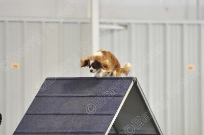 PAW_0513.jpg