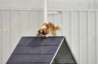 PAW_0514.jpg