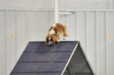 PAW_0515.jpg