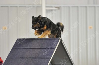 PAW_0516.jpg