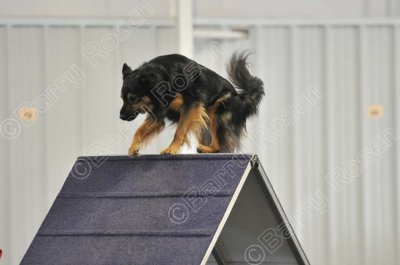 PAW_0517.jpg