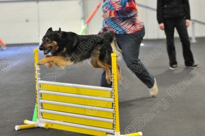 PAW_0518.jpg